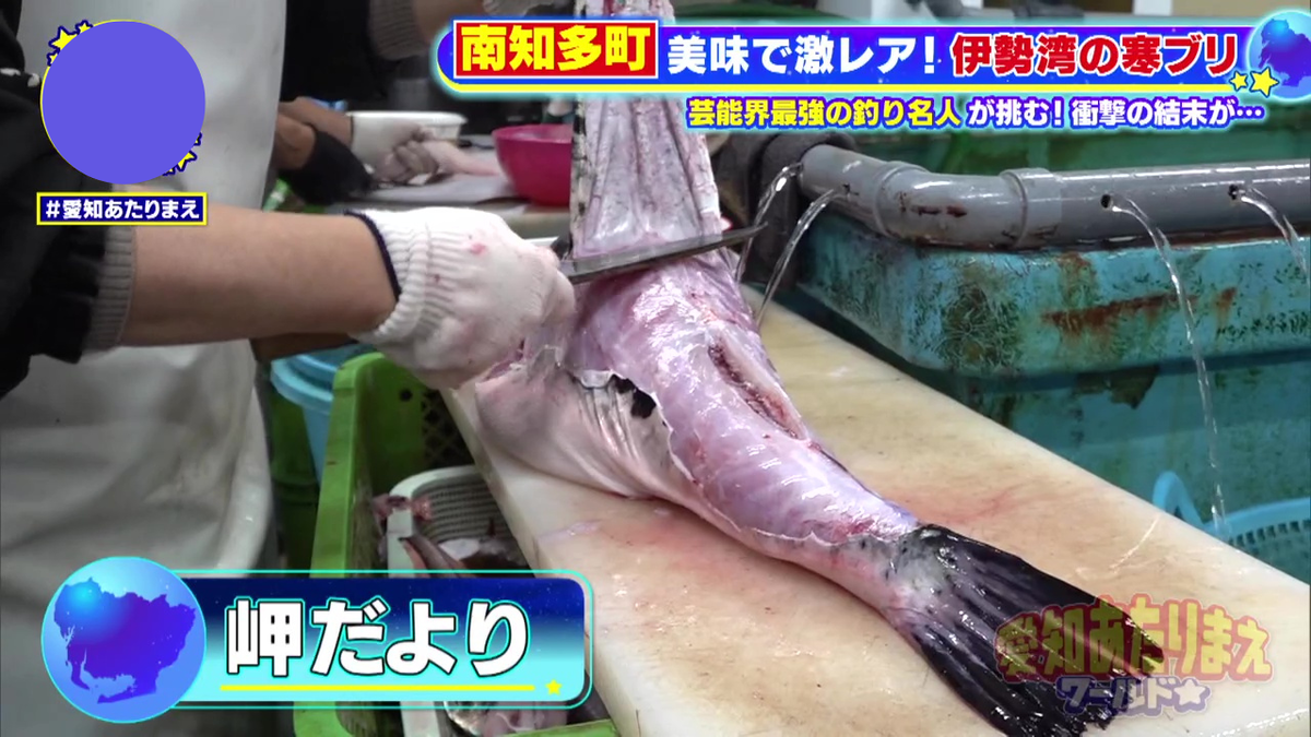 釣り人たちの強い味方「岬だより」