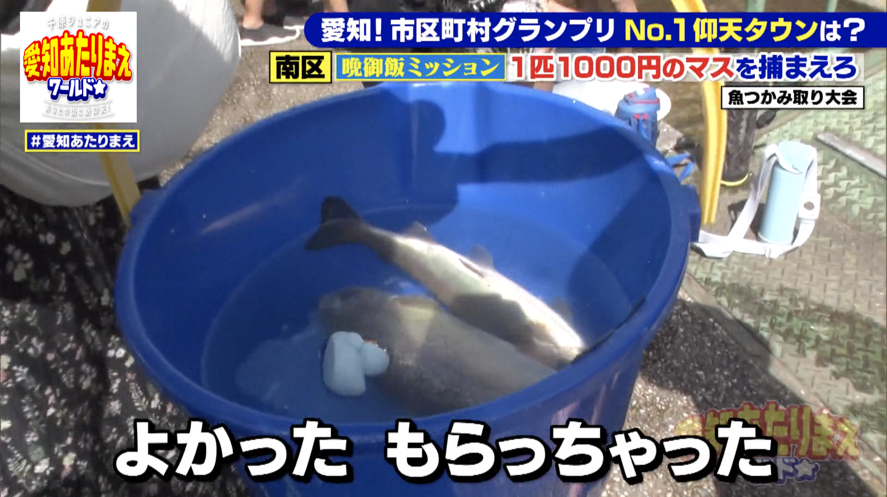 譲ってもらったマスで今夜はマスの塩焼きにするのだとか