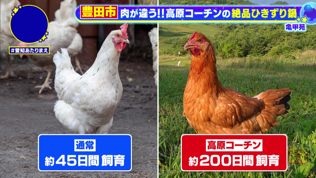 通常の約5倍の期間をかけて飼育