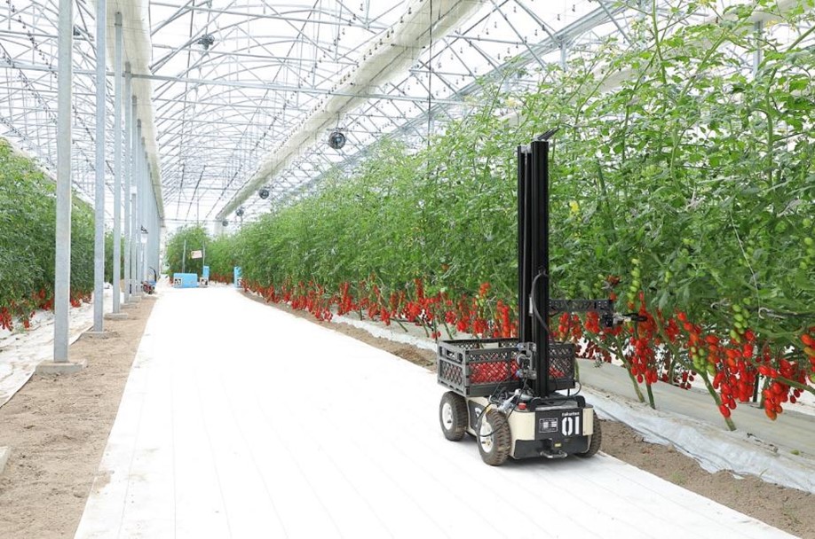 トクイテン知多農場