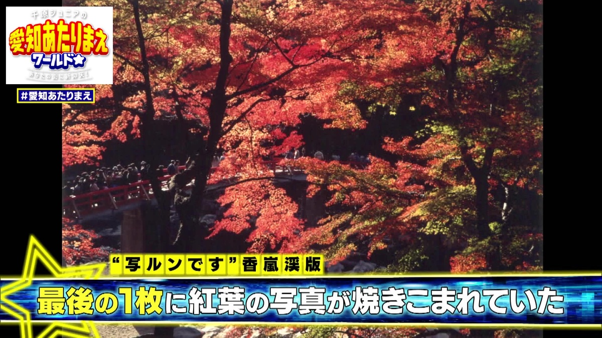 最後の1枚に香嵐渓の美しい紅葉が撮影済