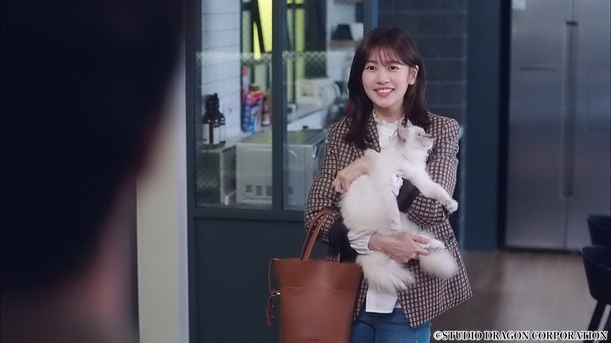 この恋は初めてだから　猫を抱いた女性