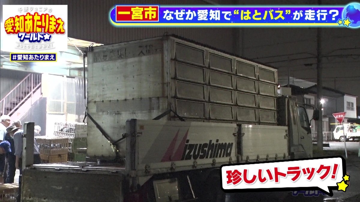 トラックのような“一宮のはとバス”