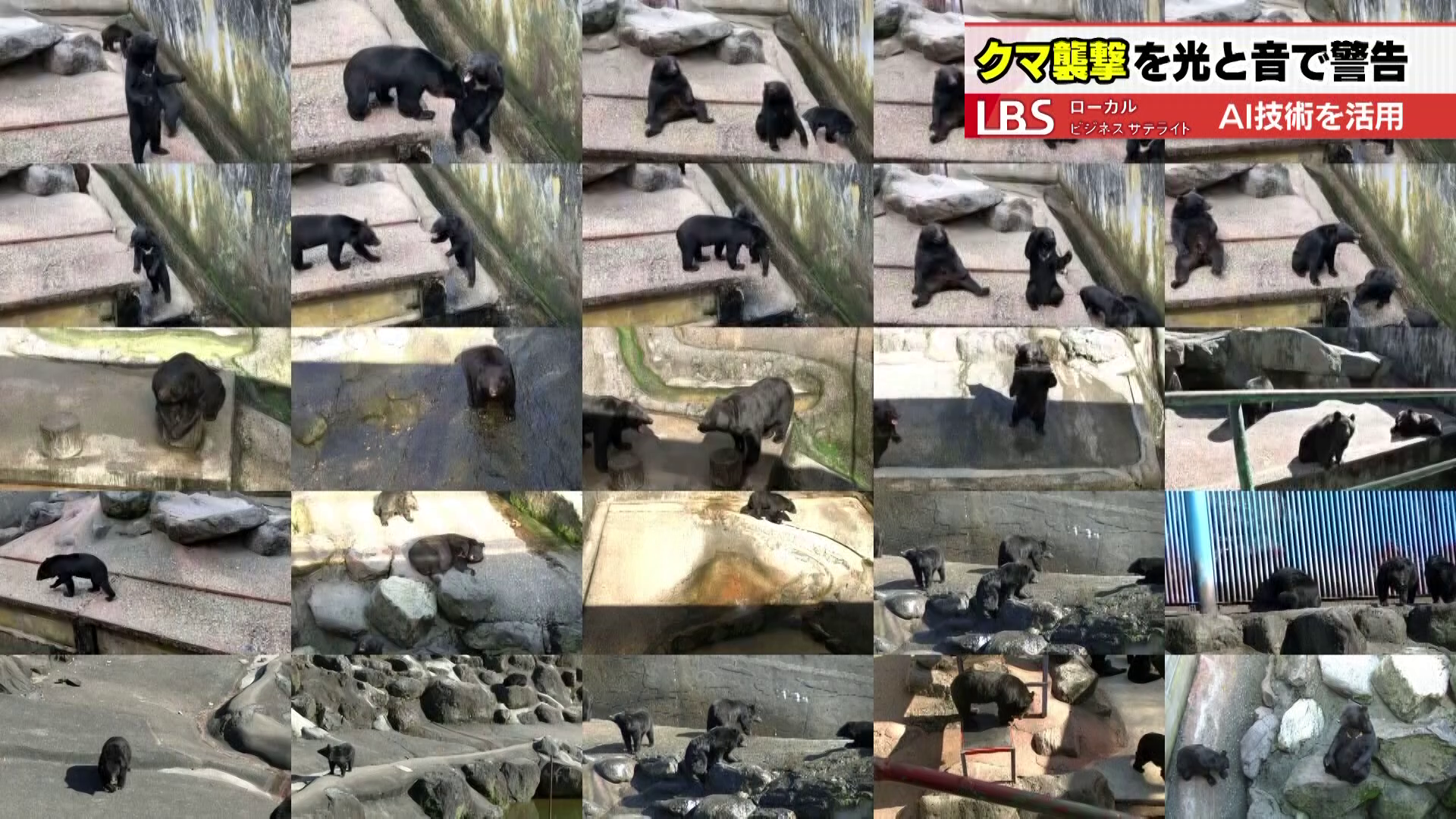 「クマ牧場」でデータを確保