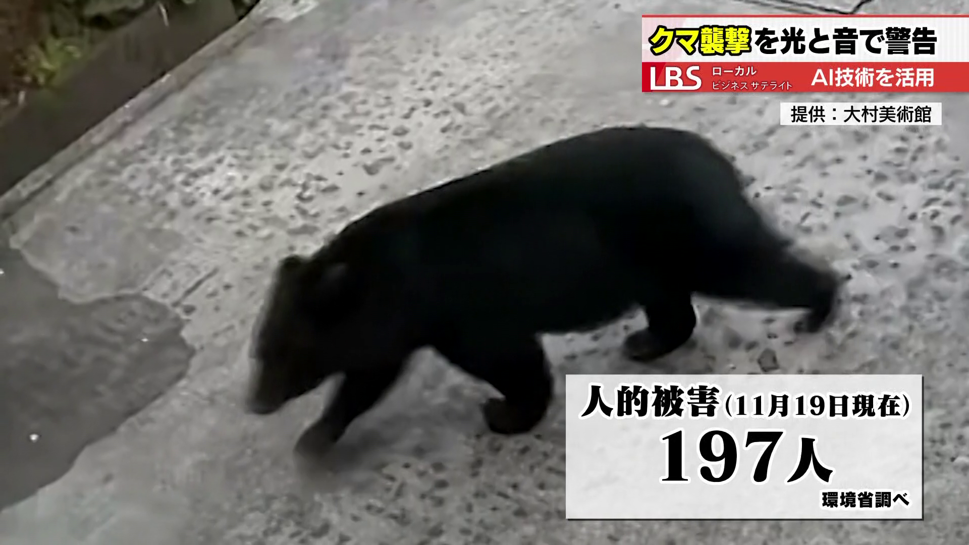 人的被害は197人（11月19日現在）※環境省調べ