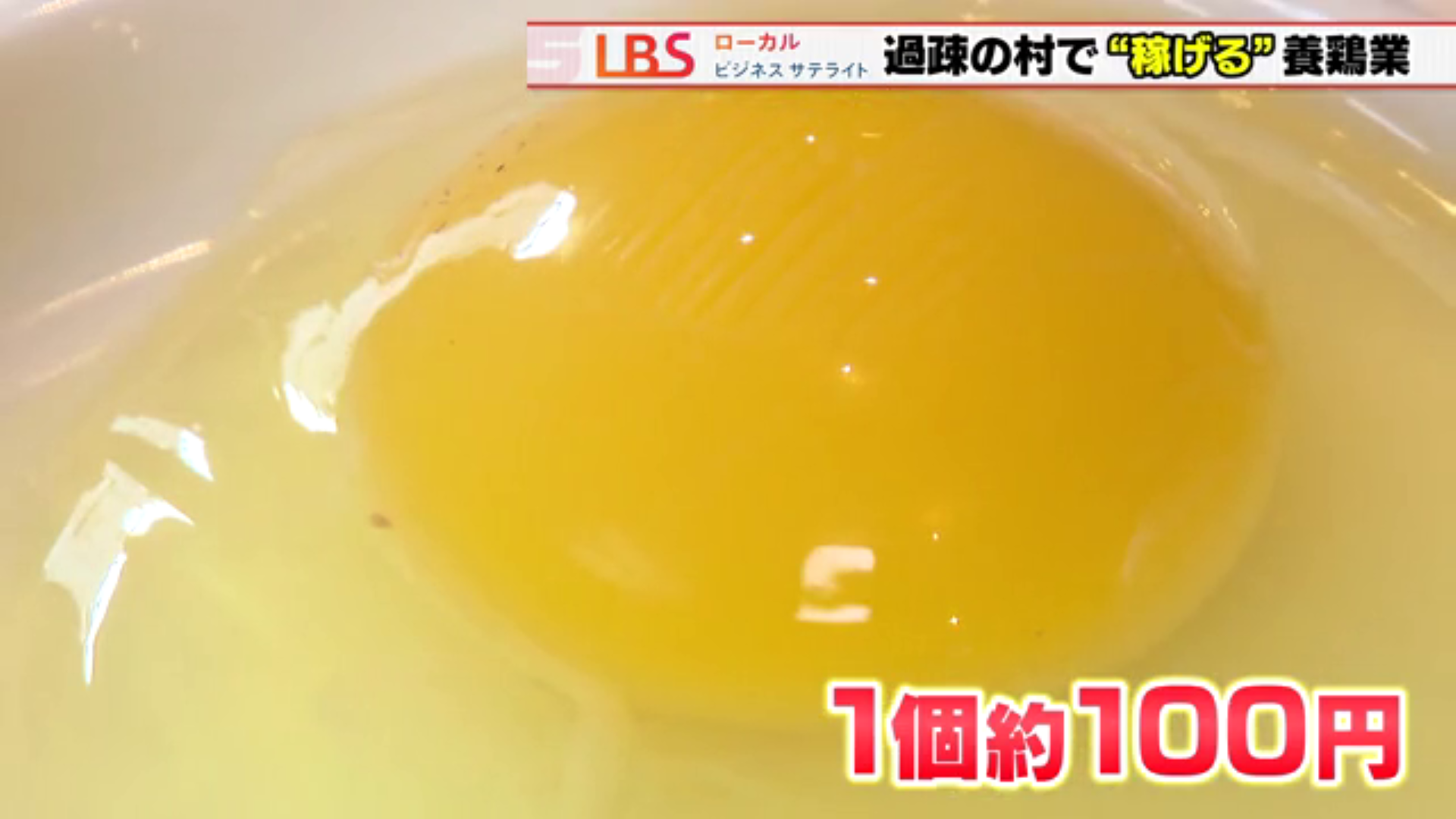 1個 約100円の卵