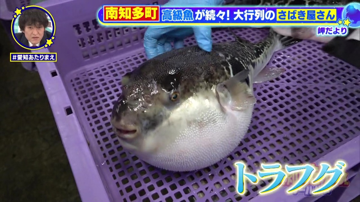 免許がないとさばけないフグもさばいてもらえる