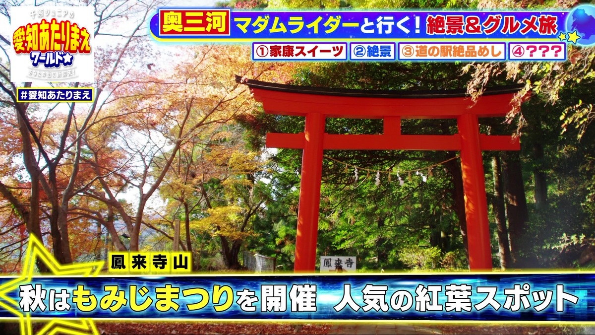 紅葉が美しい鳳来寺山