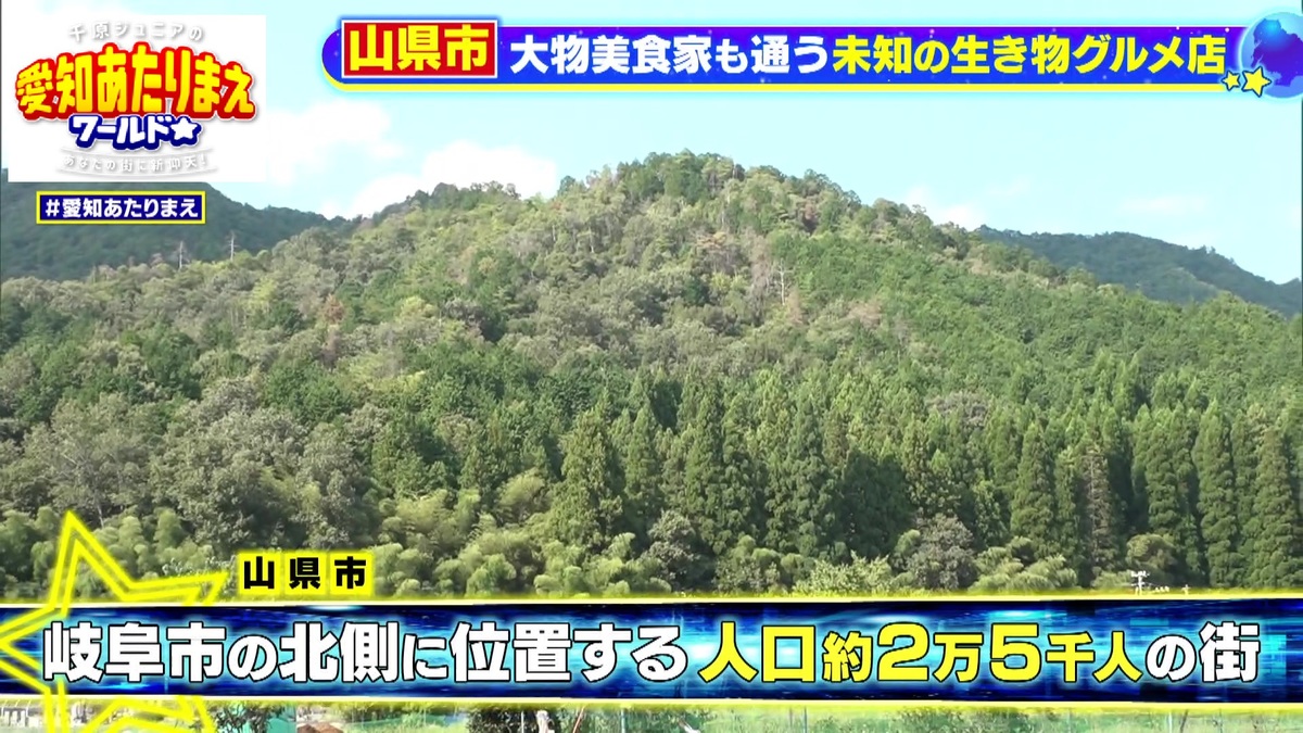 山菜やきのこを採って生計を立てていた