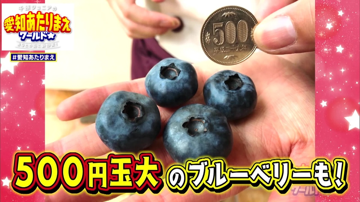 巨大ブルーベリーも