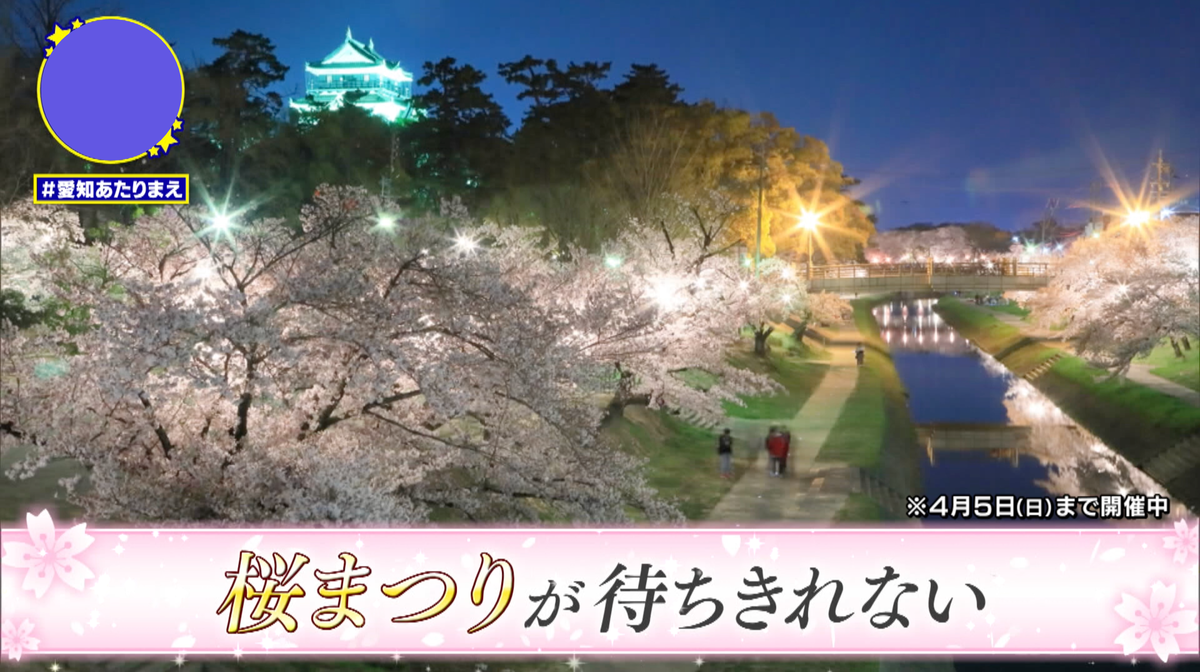 家康公行列や舟あそびなど、桜まつりの期間中は見所がたくさん