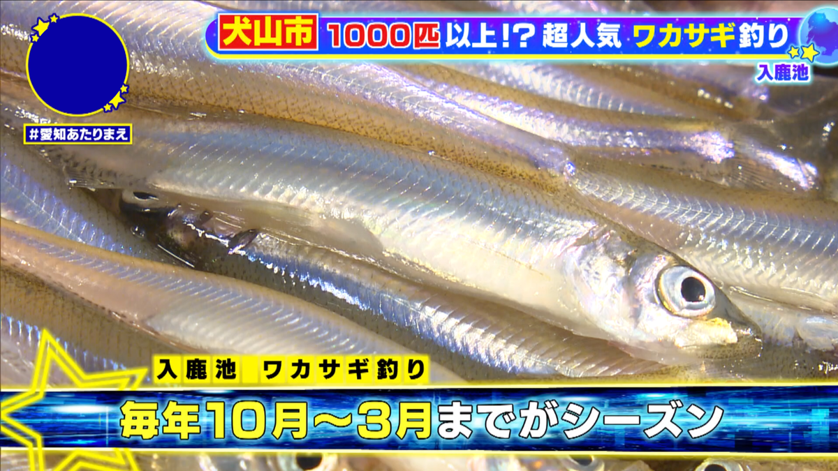 氷上から釣るイメージが強いが、池の上のボートからも釣れる