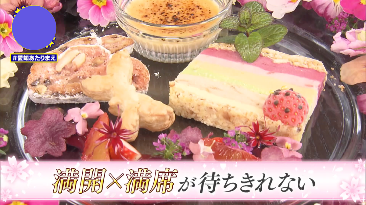 満開の桜を眺めながら、春限定の桜メニューを味わえる