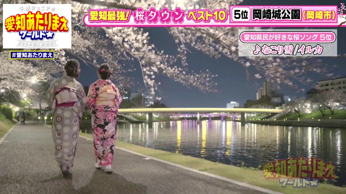 ライトアップした岡崎城公園の桜