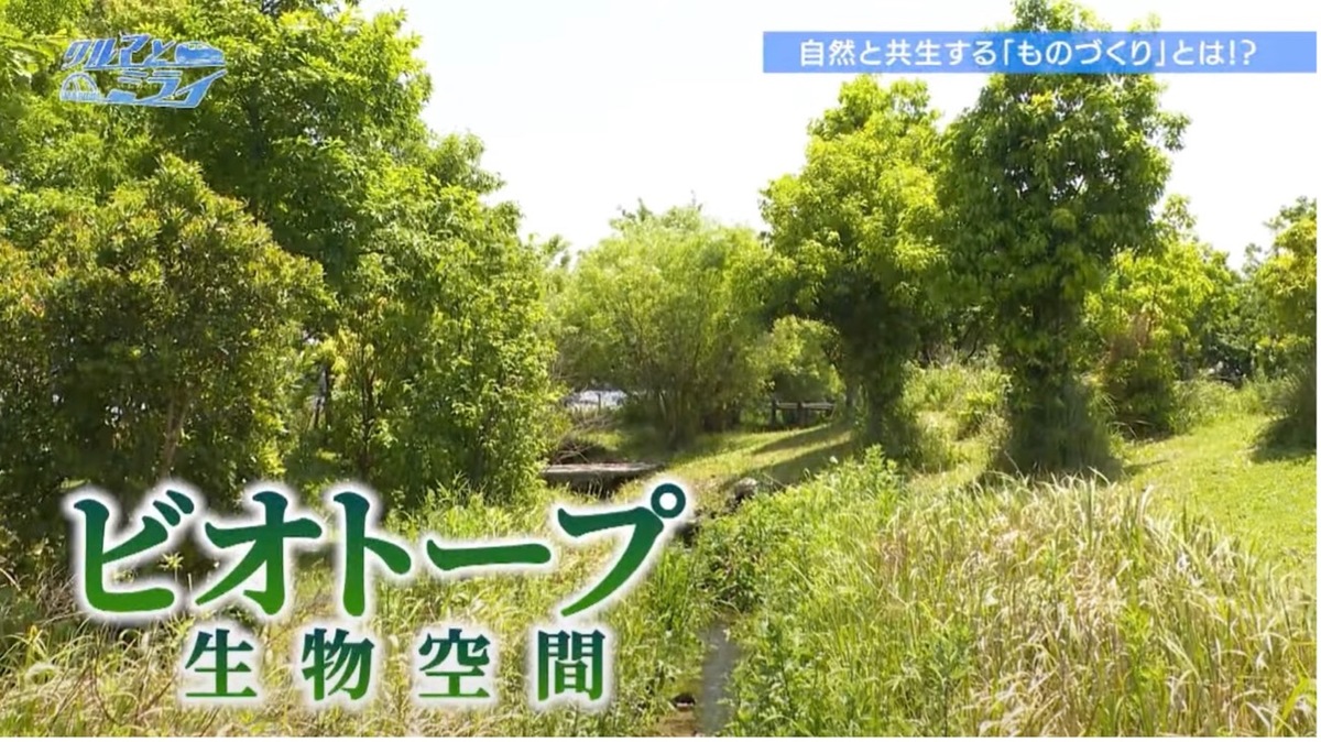 工場内にビオトープが存在