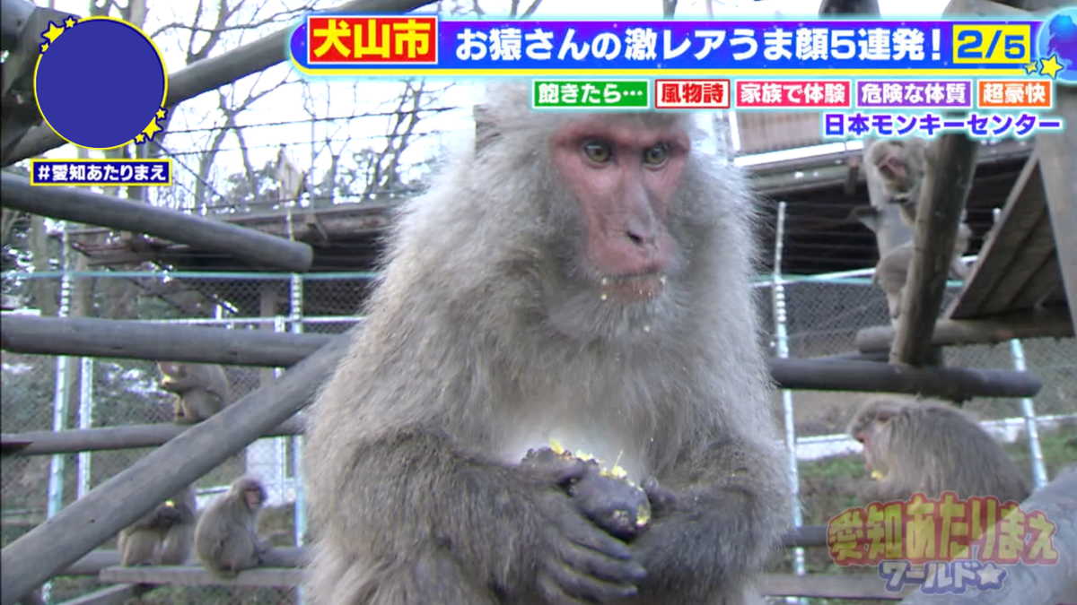 頬に焼き芋をつけながら、美味しそうにモグモグ