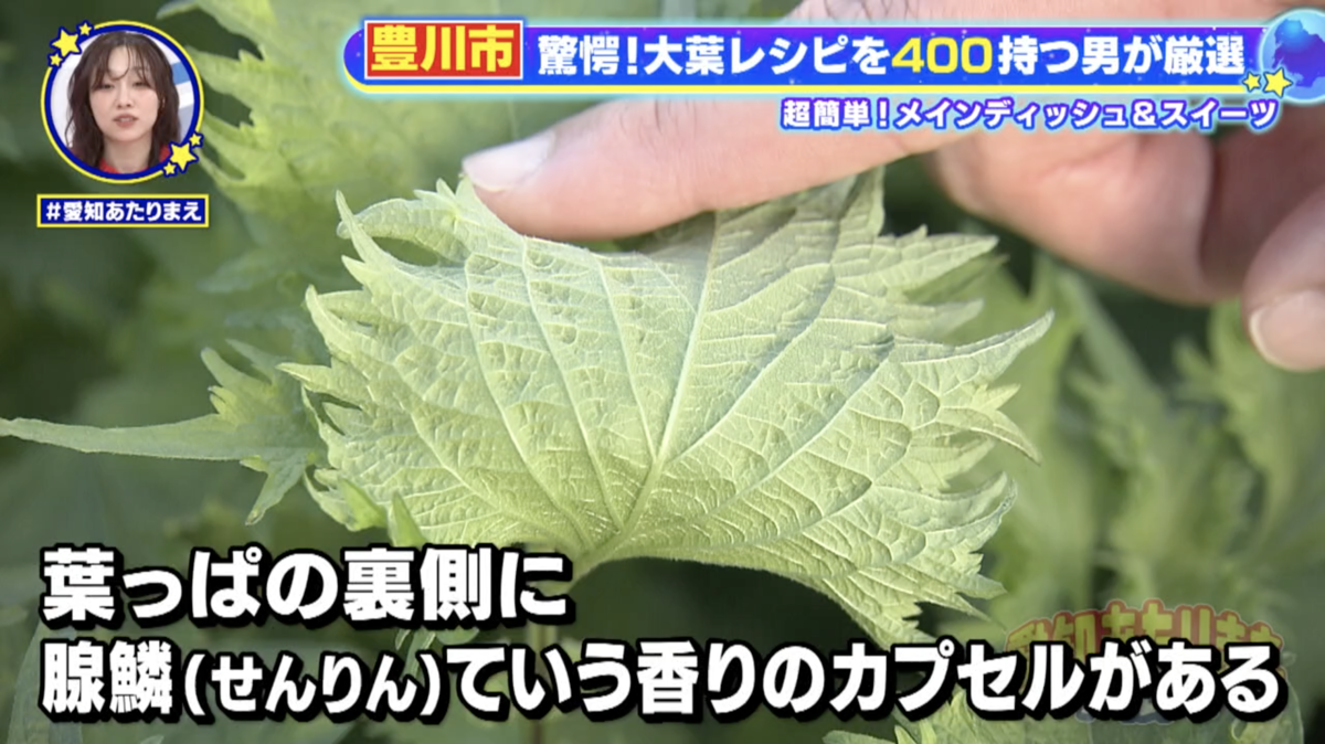 空気圧で大葉の裏側のカプセルが弾けることでより香りがUP