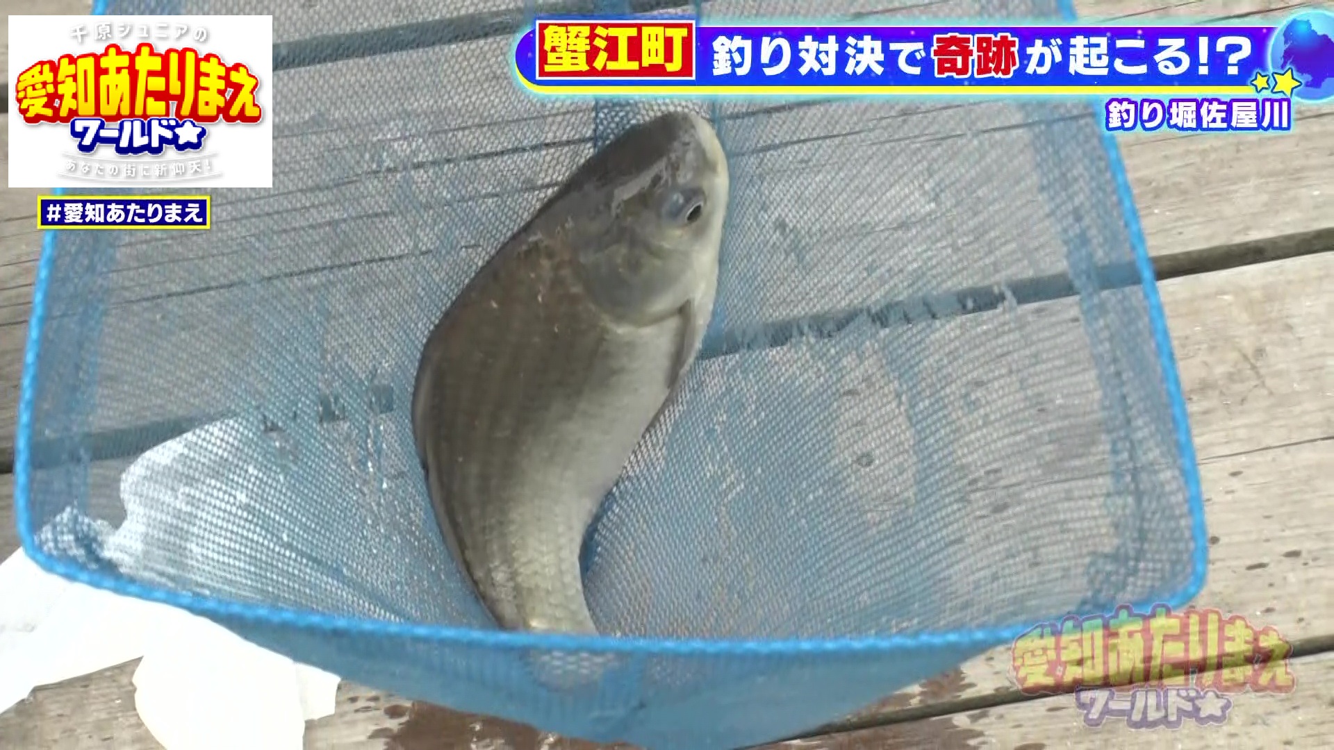 大きな魚をゲット