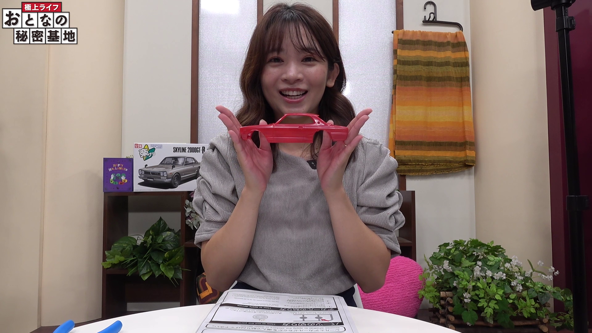 楽プラ1/24サイズ