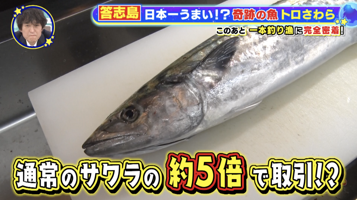 答志島の人々が口を揃えて「日本一」と語る高級魚とは