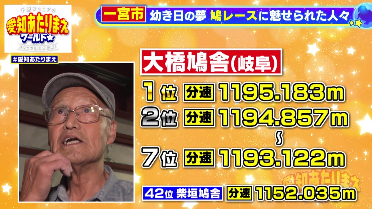 鳩レースの結果