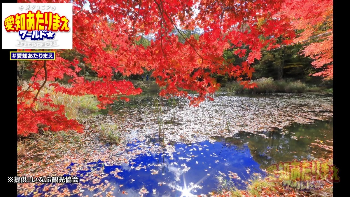 豊田市稲武町の紅葉