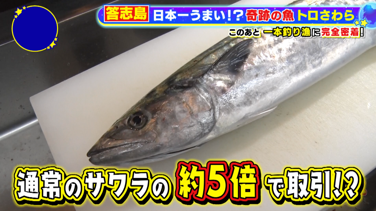 答志島の人々が口を揃えて「日本一」と語る高級魚とは