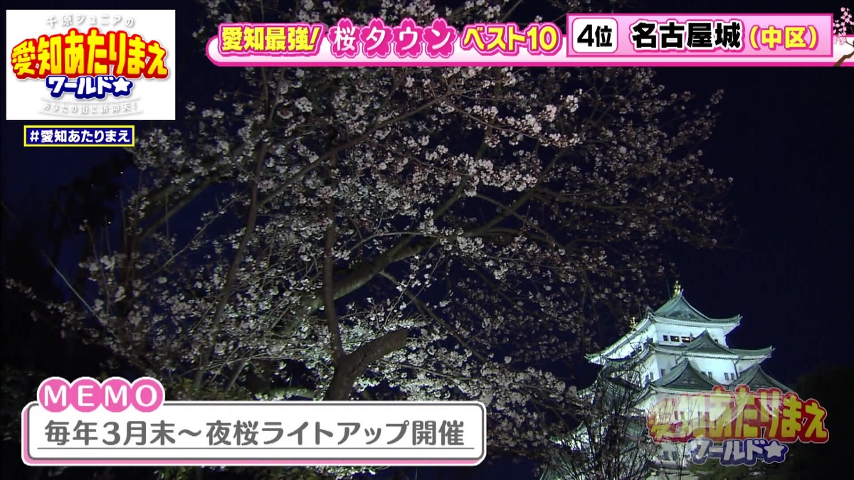 城と夜桜の共演が見事な夜桜ライトアップ