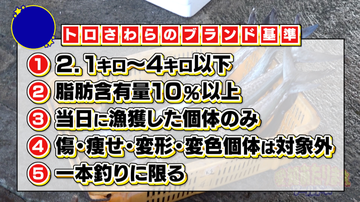 厳格な基準をクリアした、選ばれしサワラがトロさわら