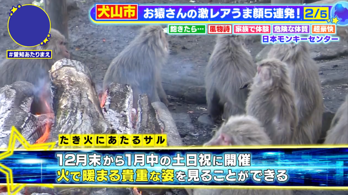 おそらく全国でここでしかみられない冬の風物詩