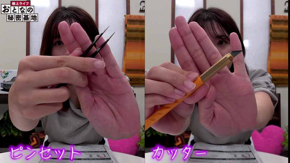 ピンセットやカッター