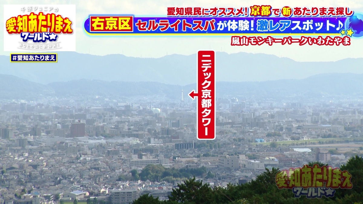 京都タワーも見える