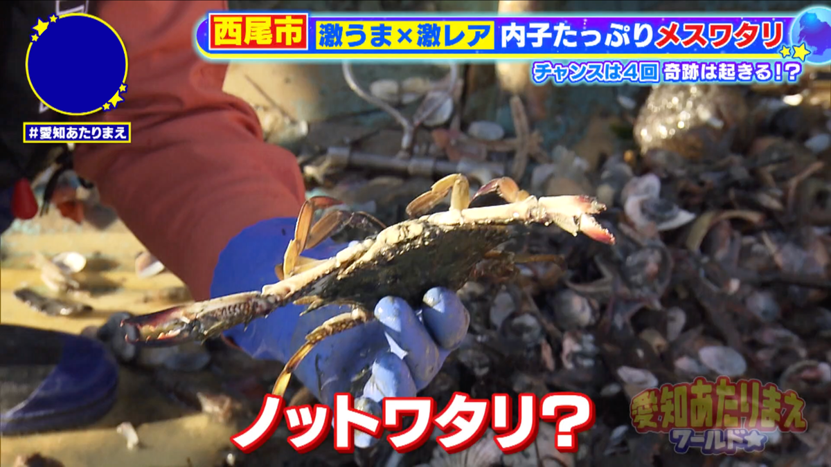 実は似ているように見えて、全然違うカニのゲットが続く