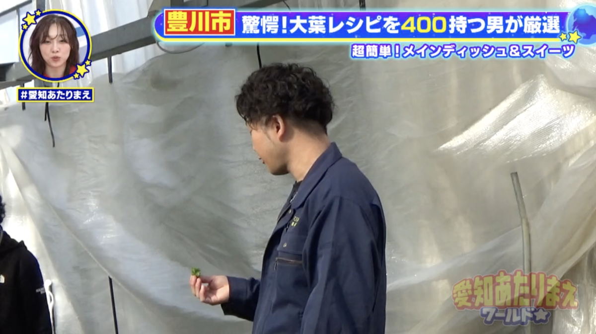 ついつい仕事中にも大葉を食べてしまう佐藤さん