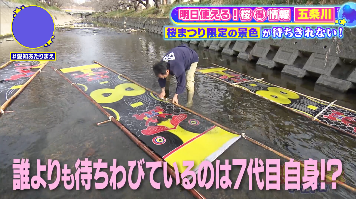 五条川の春の風物詩「のんぼり洗い」の担い手にも密着