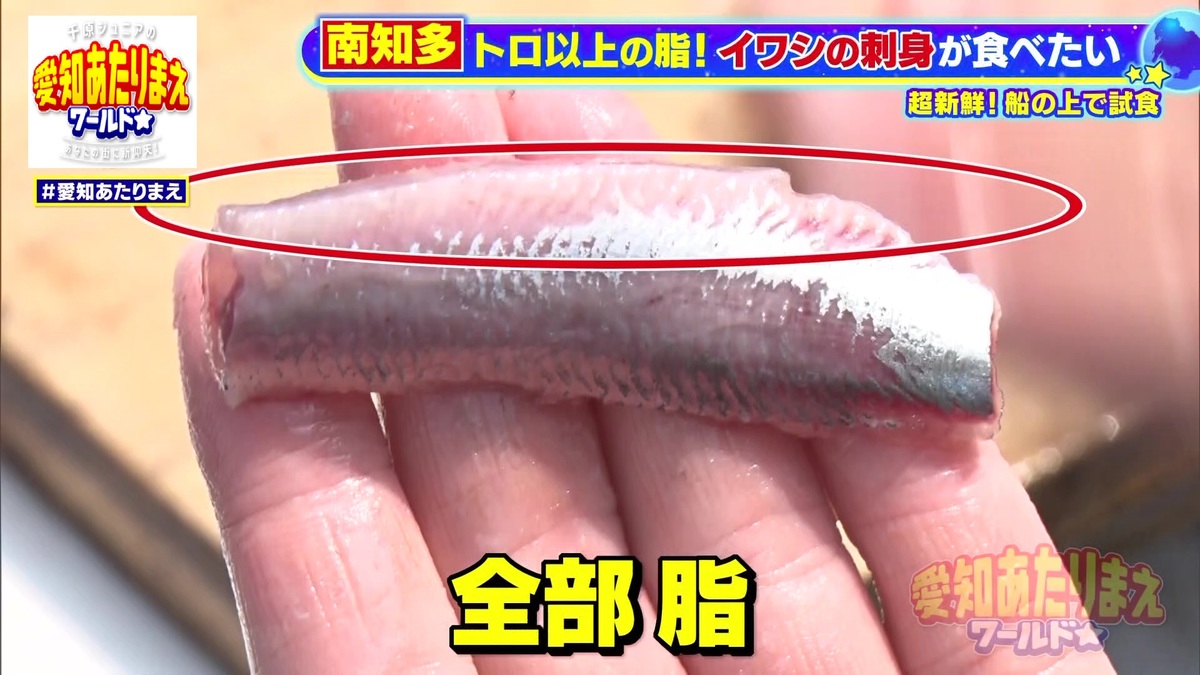 しっかりと脂ののったマイワシ