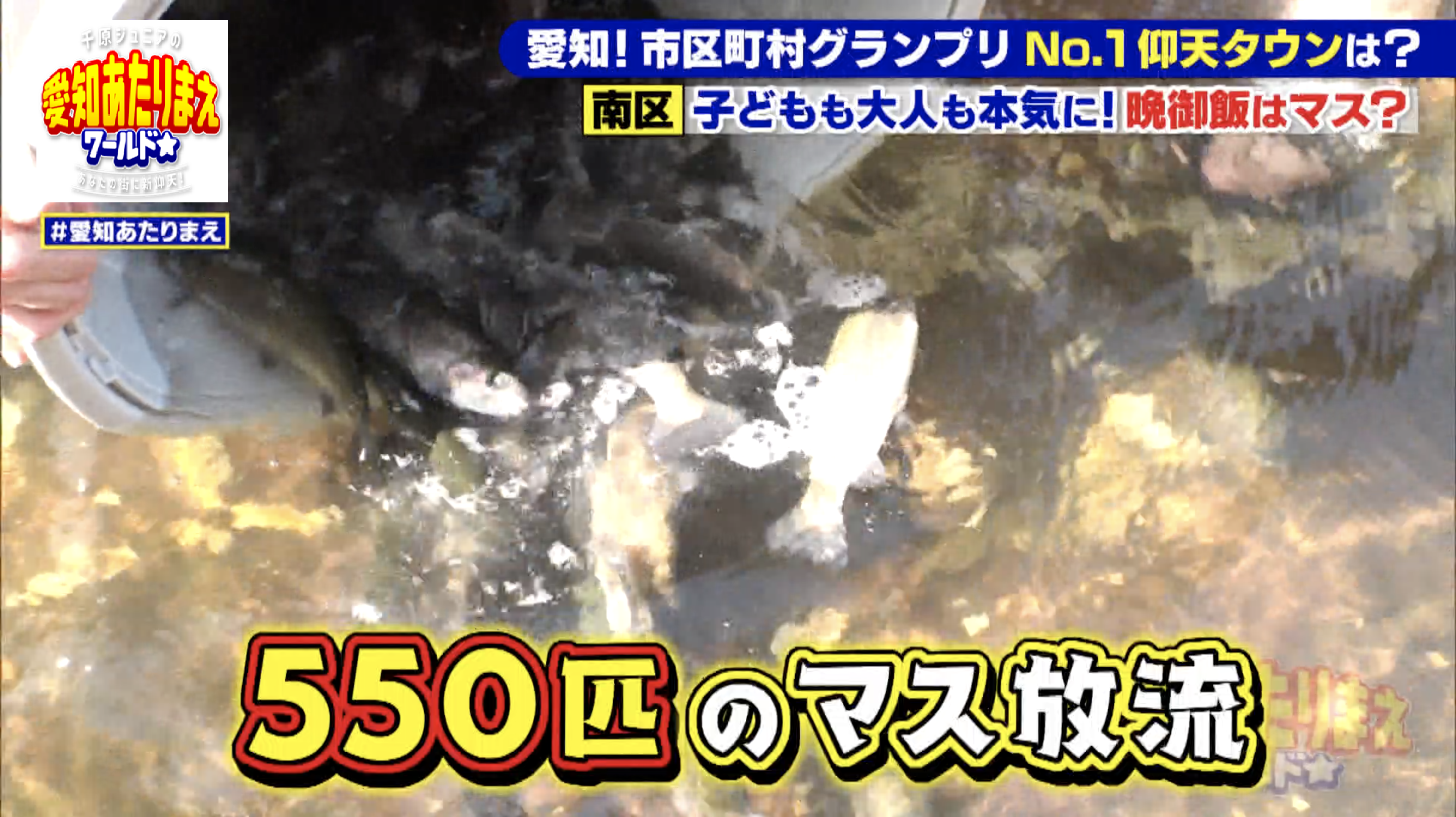 800人で550匹のマスを1匹でも多くゲットする争奪戦！