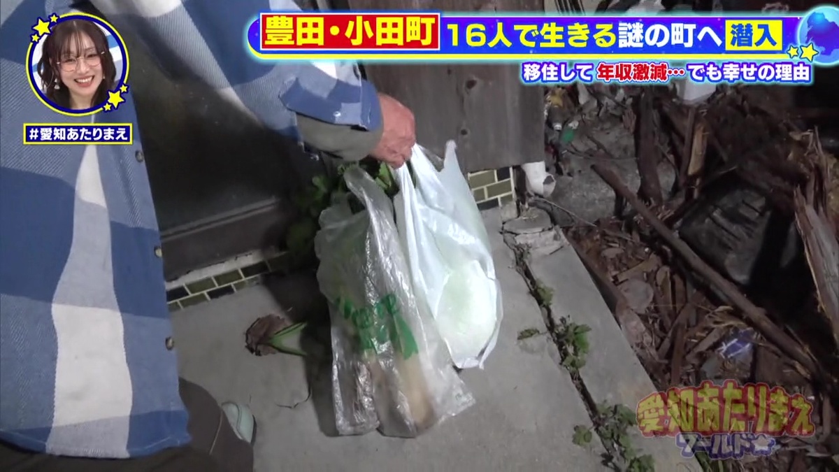 お返しはお野菜で