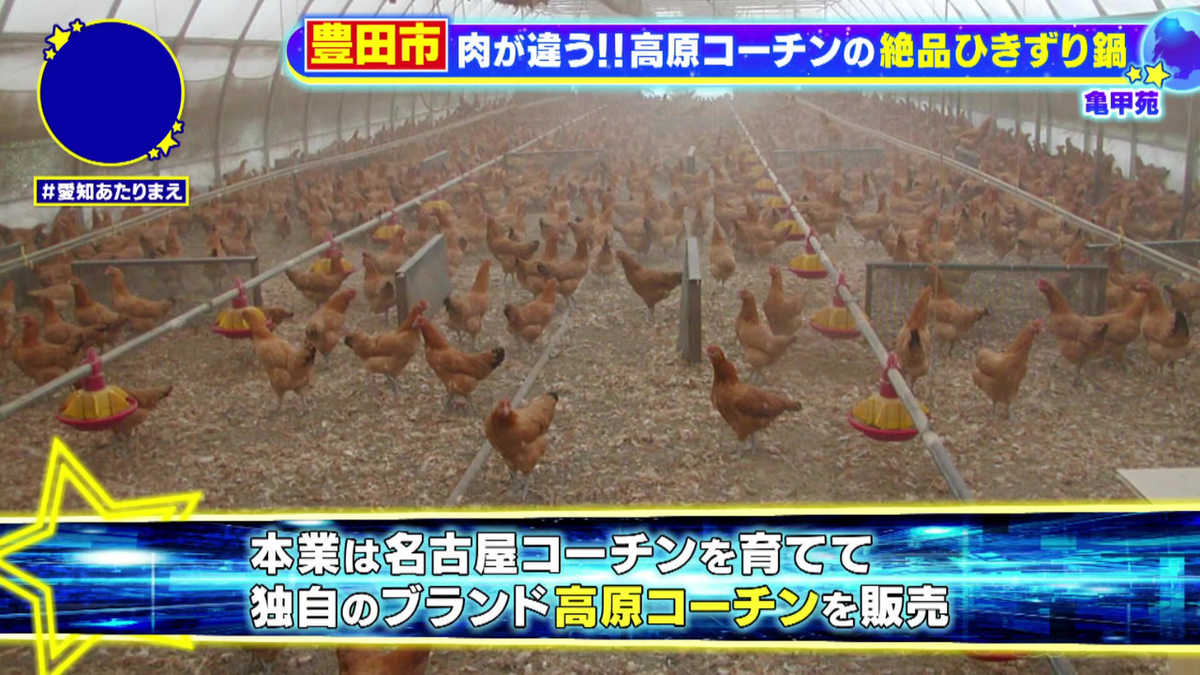 本業は名古屋コーチンの飼育