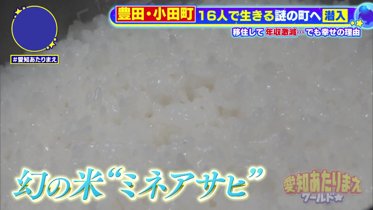 今年初の新米でごちそうごはん