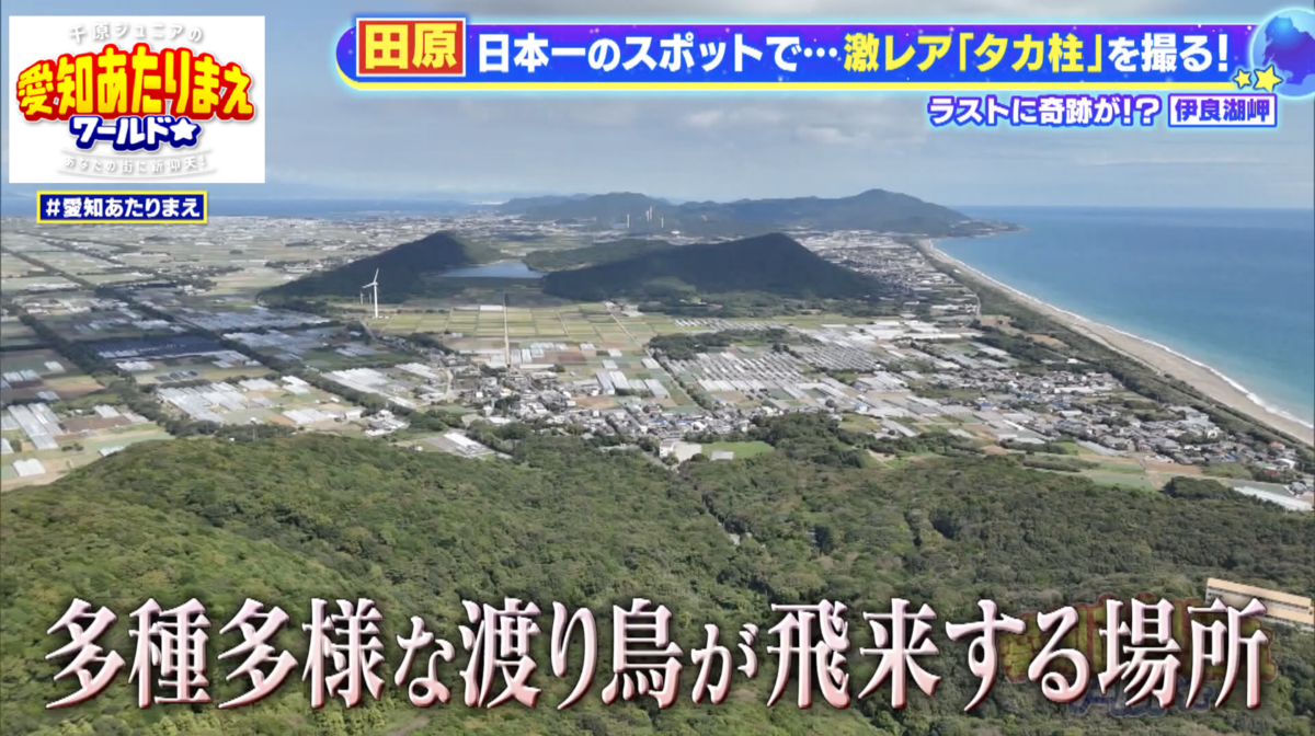 全国的にみても、かなり珍しい多種多様な渡り鳥が飛来する