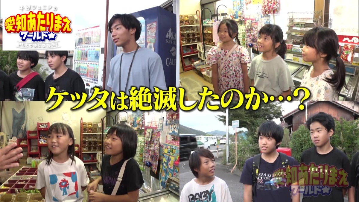 ケッタは日常で使われていない？