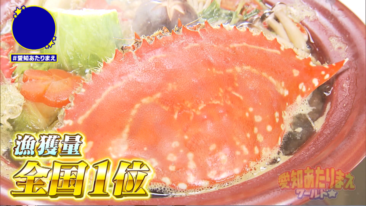 全国1位の漁獲量を誇る西尾市。ワタリガニを求めて漁へ