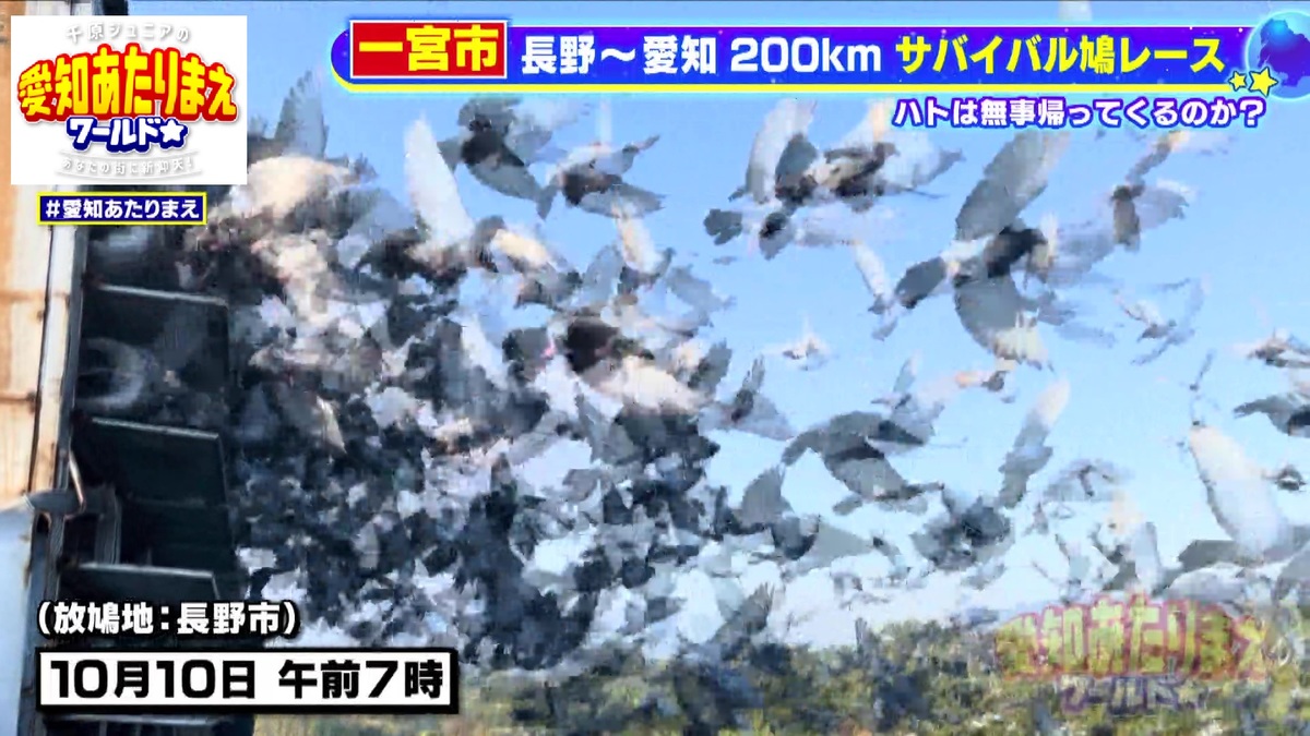 一斉にスタート