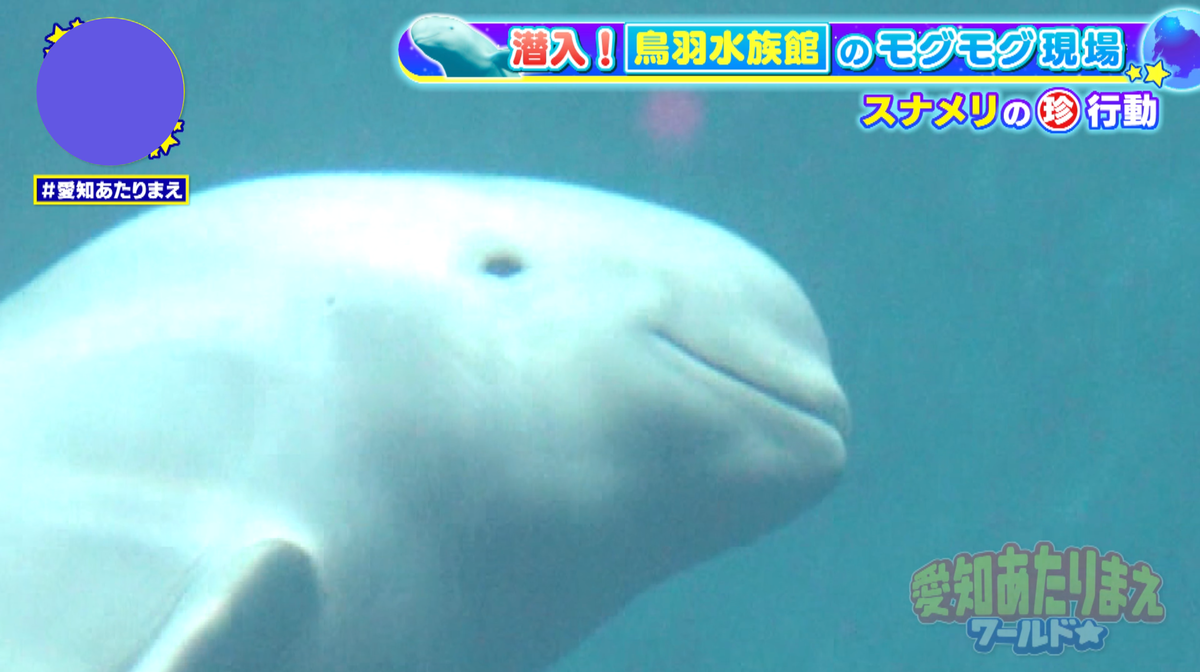 口角が上がり、笑っているように見える顔が可愛い