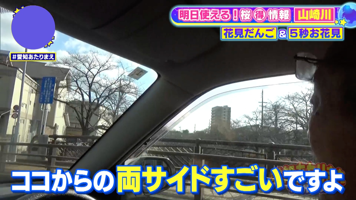 桜が満開の時は、通過する一瞬でも絶景を楽しめる