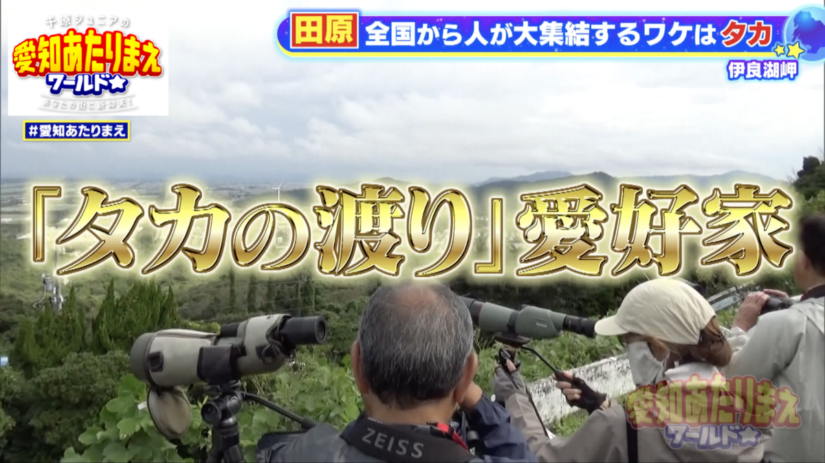 伊良湖岬は渡り鳥のタカが立ち寄る重要な中継地だった