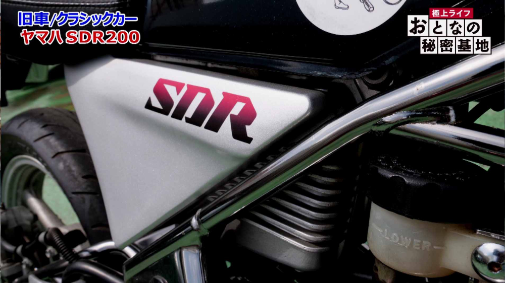 レーサーレプリカ以上のコストがかかったアルミダイキャスト製のエアクリーナーボックスはサイドカバーと一体化している