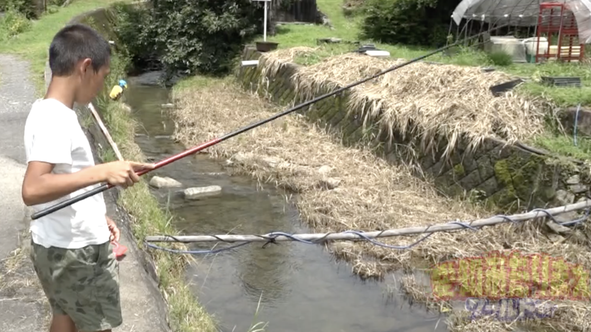 バッタを付けた竿で川魚を釣りまくる匠眞くん