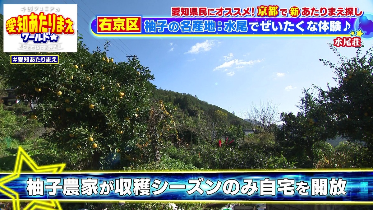 柚子の里 水尾地区